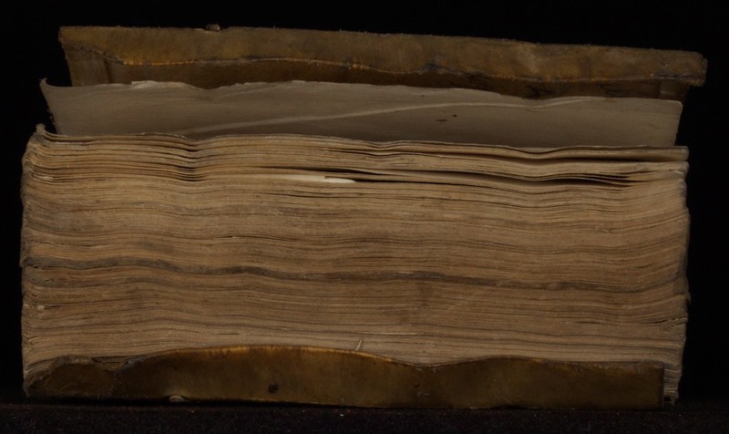 No text description is available for this image