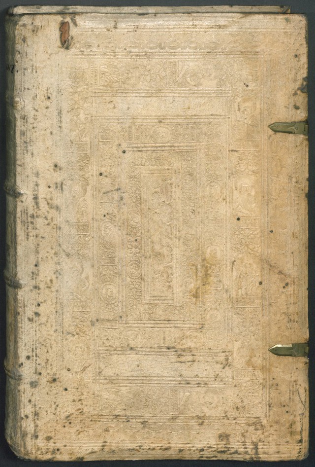 No text description is available for this image