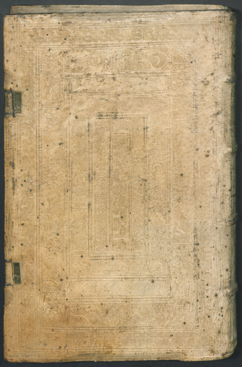 No text description is available for this image