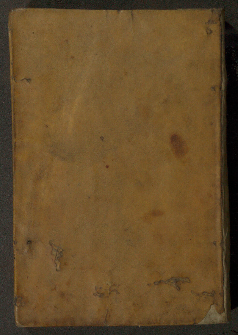 No text description is available for this image