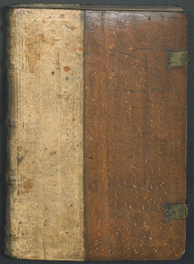 No text description is available for this image