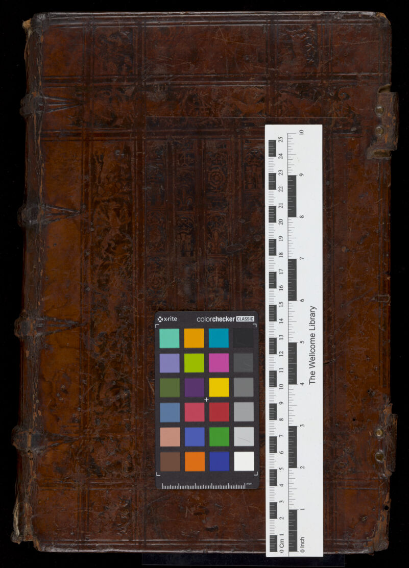 No text description is available for this image