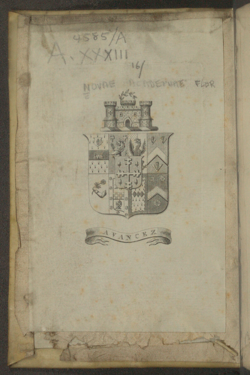 No text description is available for this image