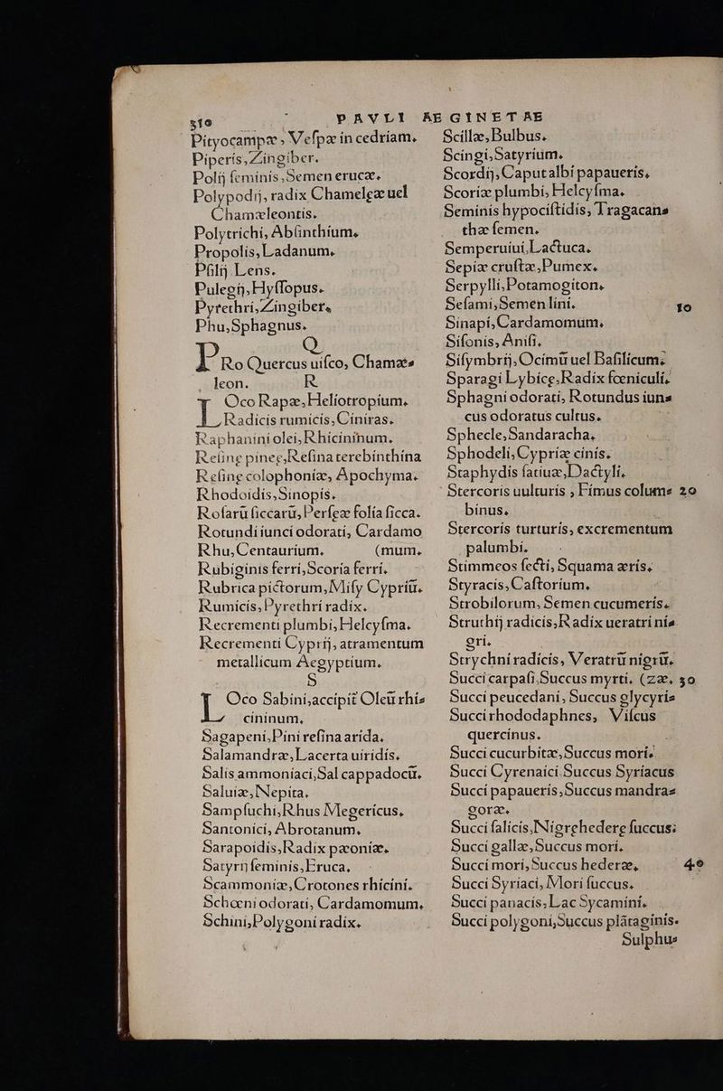 510 PAVLI Pityocampz » Vefpa in cedriam, Piperis,Zingiber. Políj feminis, Semen eruca. Polypodij, radix Chamelgz ucl Chamzleontis. Polytrichi, Abünthíum, Propolis, L'adanum. Pfilij. Lens. Pulegij, Hy(lopus. Pyrethri,Zingiber, Phu,Sphagnus. I Quercus uifco; Chamaes leon. R OQco Rapz;Heliotropium. ,Radicis rumicis, Ciniras. Raphaniniolei;,Rhicininum. R eüng pinee;Refinaterebínthína R efing colophoníz, Apochyma. R hodoidis;Sinopís. R ofarü ficcaru, Perfeze folía ficca. ER otundiiunci odoratí, Cardamo Rhu,Centaurium. (mum. R ubiginis ferri,Scoria ferrí. Rubrica pictorum, Vlify Cyprítr. Rumicís;Pyrethrí radix. R ecrementi plumbi, Helcyfma. Recrementi Cyprij, atramentum metallicum Aegyptium. Oco Sabini;accipit Oleu rhíz cininum, bagapeni.Pinirefina arida. Salamandraz, Lacerta uiridís. Salis ammoníaci,Sal cappadocu. baluize; INepita. Sampfuchi;Rhus Vlegerícus, Santonici, Abrotanum. Sarapoidis, Radix paoníz. Satyri) feminis, Eruca. Scammoniz;Crotones rhiícini. Schoeni odorati, Cardamomum. Schini;Polygoni radix. Scilla, Bulbus. Scingi,Satyrium. Scordij, Caputalbí papaueris, Scoríz plumbi; Helcyfma. Seminis hypociftídís, Tragacans tha femen. Semperuíui,L'actuca. Sepiz crufta,Pumex. Serpylli,Potamogiton, Sefami, Semen lint. Sinapi, Cardamomum. Sifonis, Anifi. Sifymbrij, Ocimtruel Bafificum: Sparagi Lybicg. Radix fceniculí, Sphagniodorati, Rotundus iuna cus odoratus cultus. Sphecle.Sandaracha. Sphodeli, Cypríz cinís. Sraphydis fatiuae,Dactyli. Stercoris uulturis , Fímus colume 20 bínus. : Stercorís turturís, excrementum palumbi. Stimmeos fecti, Squama arís, Styracis, Caftoríum. | Strobilorum, Semen cucumeris. Struthij radicis;Radix ueratri nía ri. Strychni radicis, Veratru nigrür. Succi carpafi.Succus myrti. (za. so Succi peucedani, Succus olycyríe Succirhododaphnes, Vicus quercinus. Succi cucurbitae, Succus morí. Succi Cyrenaicí.Succus Syríacus Gucci papauerís,Succus mandraz Ora. Succi falicis,Nierehedere fuccus: Succi gallae,Succus mori. Succi mori, Succus hederze, 4o Succi Syríaci, IVlori fuccus. | Succi panacís; Lac Sycamint. Succi polygoni;Succus plátaginis. Sulphus Lis