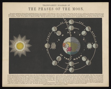 Astronomy: the phases of the Moon. Coloured engraving with tracing paper by J. Emslie, c.1850.