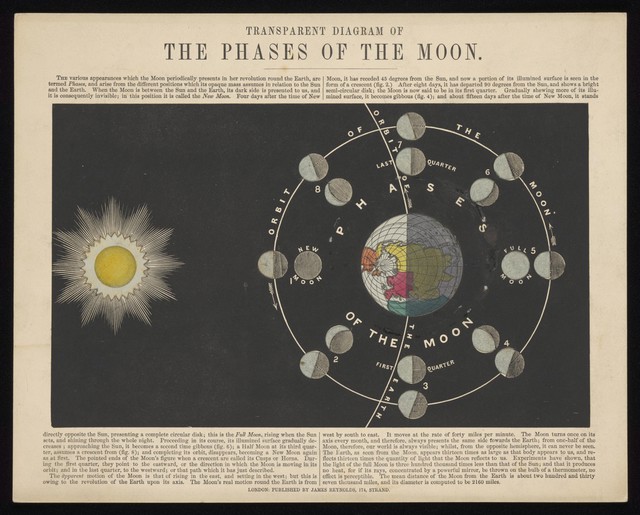 digitised image 1
