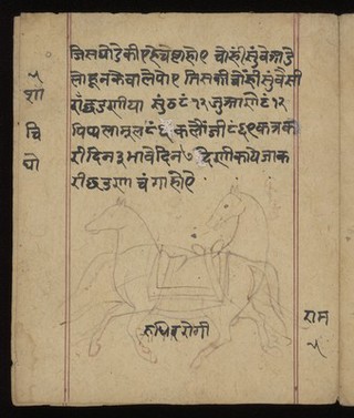Śālihotra folio 4