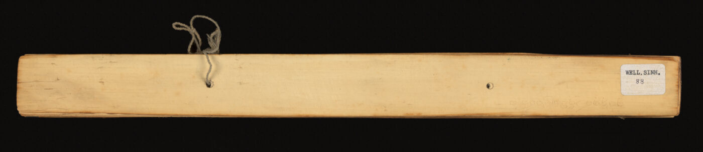 Śrīvikrama rājsiṃha praśasti manuscript preview