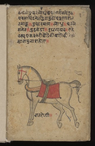Aśvacikitsā folio 3
