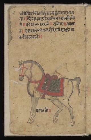 Aśvacikitsā folio 4