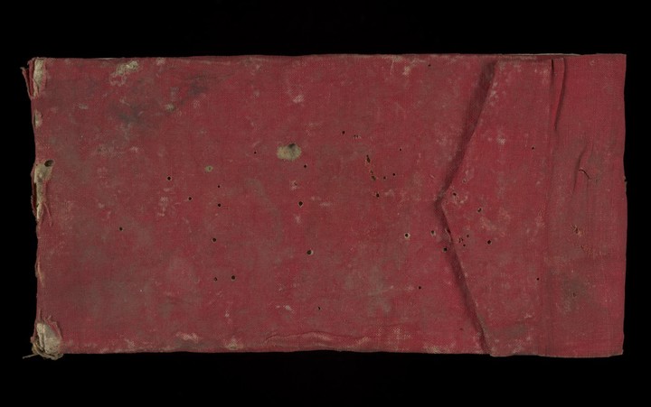 MS Sanskrit alpha 978 manuscript preview