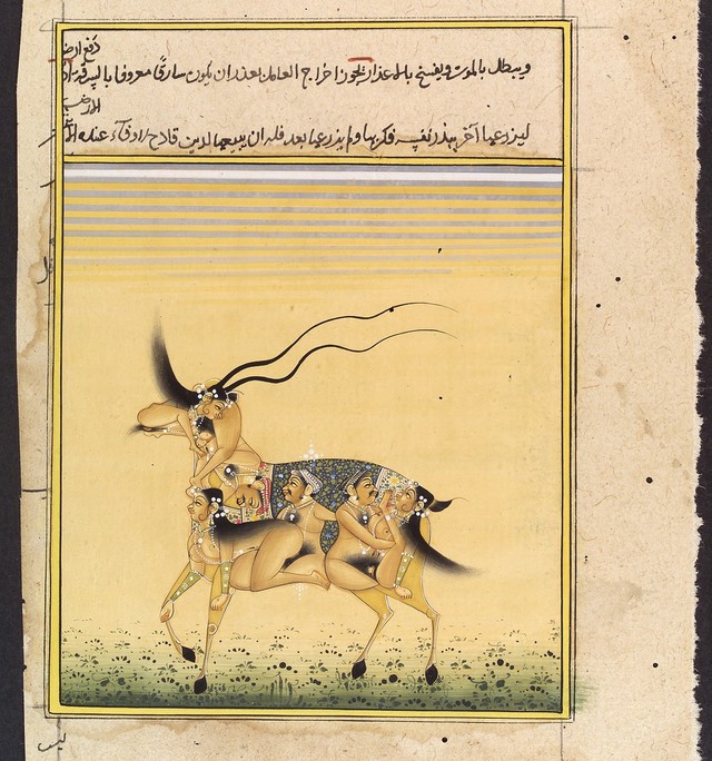 No text description is available for this image