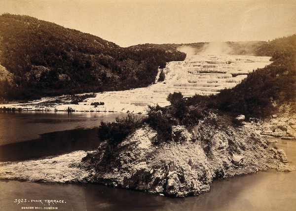 Pink and White Terraces, New Zealand: terraced thermal pools on the edge of Lake Rotomahana. Albumen print by Burton Bros.