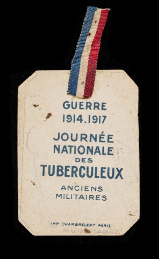 Retour du sanatorium : [Guerre 1914-1917 : Journée nationale des tuberculeux anciens militaires]