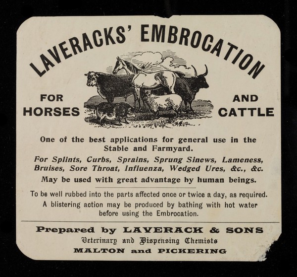 Laverack's embrocation : for horses and cattle : one of the best applications for general use in the stable and farmyard : for splints, curbs, sprains, sprung sinews, lameness, bruises, sore throat, influenza, wedged ures, &c., &c. : may be used with great advantage by human beings / Laverack and Sons.
