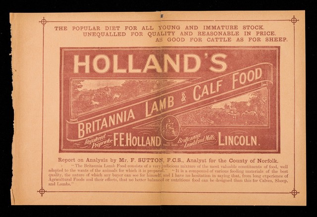 The popular diet for all young and immature stock : unequalled for quality and reasonable in price : as good for cattle as for sheep : Holland's Britannia lamb and calf food / F.E. Holland.