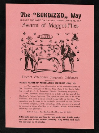 The "Burdizzo" way is sure and safe on calves, lambs, donkeys, in a swarm of maggot flies.