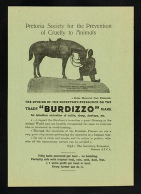 Australian evidence on the effect of castration with the (trade mark) "Burdizzo" pincers upon growth of stock : the greatest value is in the condition that stock put on after the operation.
