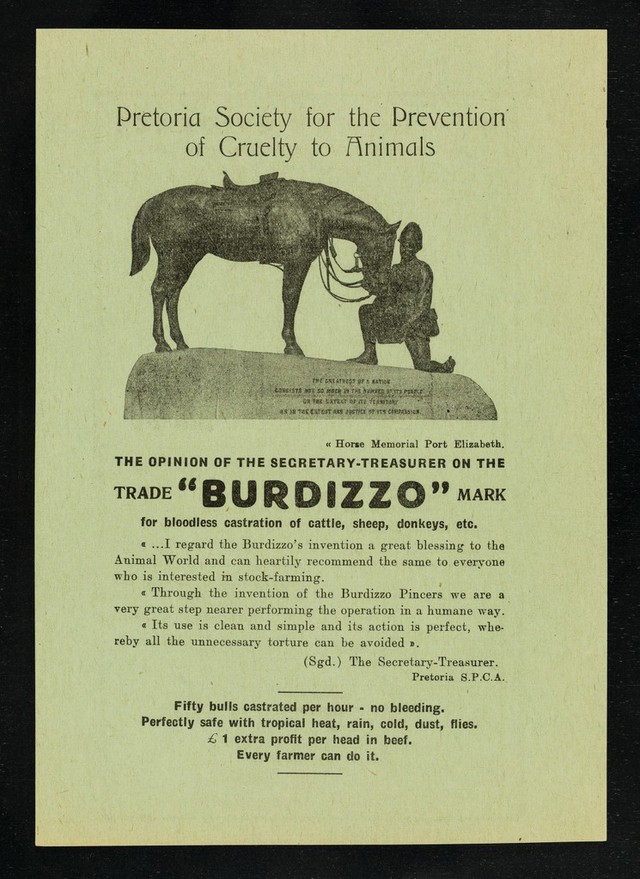 digitised image 2