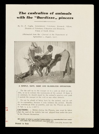 The castration of animals with the "Burdizzo" pincers / by F. Veglia.