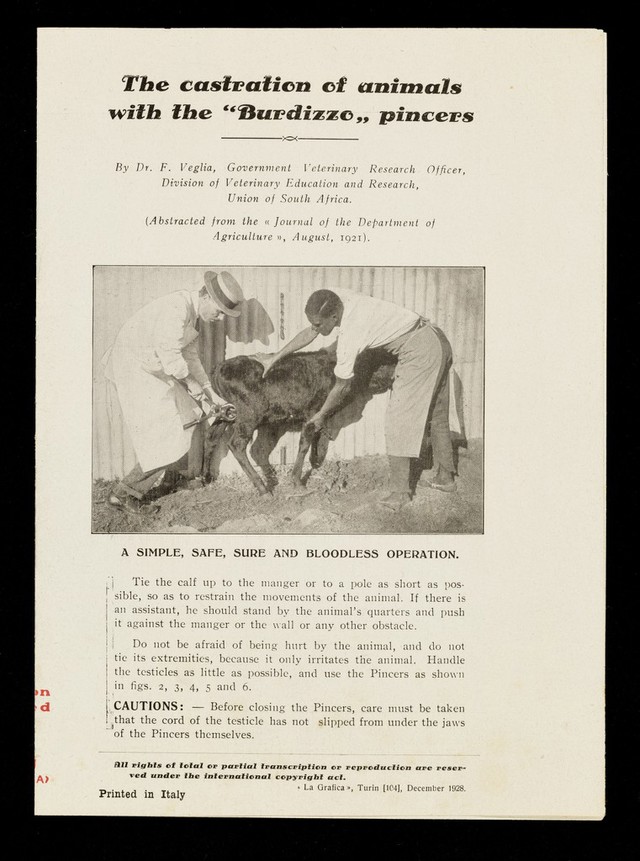 digitised image 1