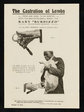 The castration of lambs : from one week to six months with the new extra-small model, the Baby "Burdizzo" registered designs.