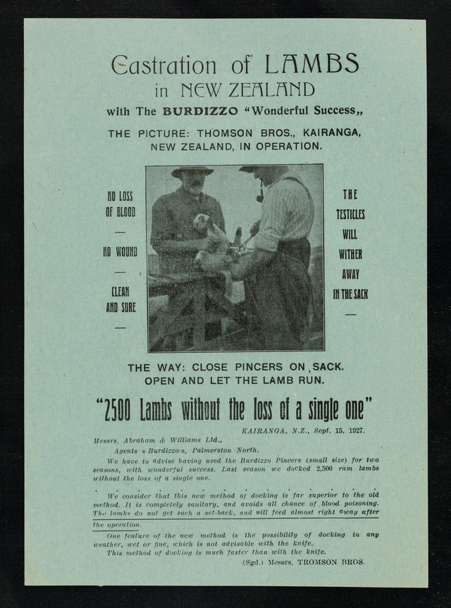 digitised image 1