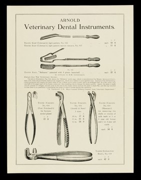 Arnold veterinary dental instruments / Arnold & Sons.