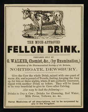 The much-approved fellon drink / prepared only by G. Walker, chemist, &c, (by examination).