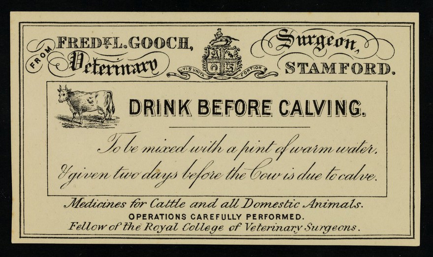 Drink before calving : to be mixed with a pint of warm water, & given two days before the cow is due to calve / Fred.k L. Gooch.