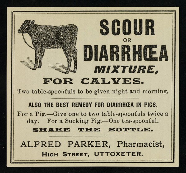 Scour or diarrhoea mixture for calves : two table-spoonfuls to be given night and morning : also the best remedy for diarrhoea in pigs... / Alfred Parker.