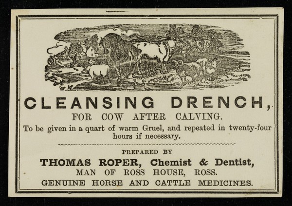 Cleansing Drench : for cow after calving : to be given in a quart of warm gruel, and repeated in twenty-four hours if necessary / prepared by Thomas Roper.