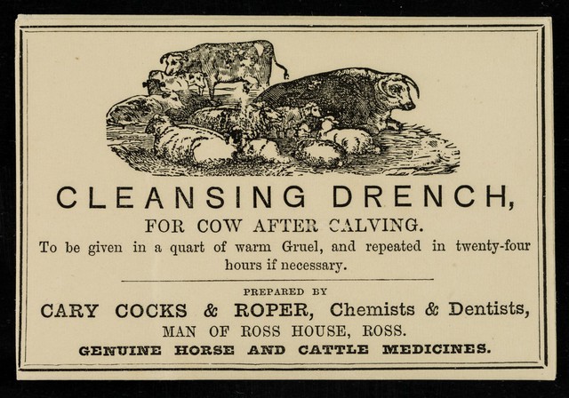 No text description is available for this image