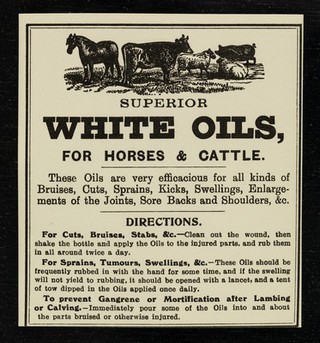 Superior White Oils : for horses & cattle.