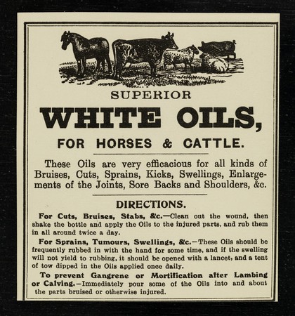 Superior White Oils : for horses & cattle.