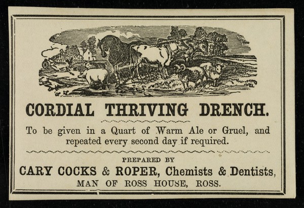 Cordial thriving drench / prepared by Cary Cocks and Roper.