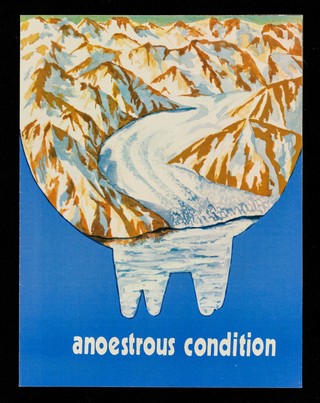 Anoestrous condition / Ar-Ex Laboratories (Private) Limited.