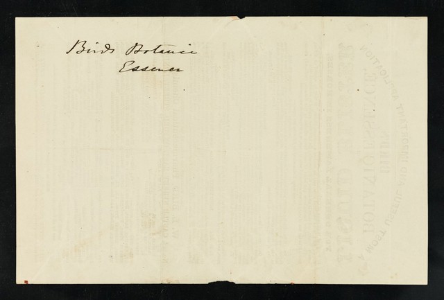 digitised image 2