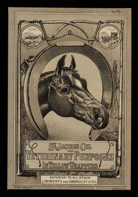 St. Jacob's oil for veterinary purposes : in yellow wrappers : superior to all other liniments and embrocations / The Charles A. Vogeler Co.