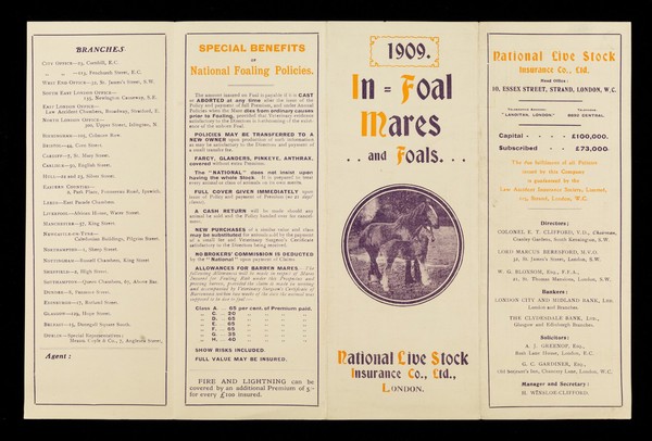 In-foal mares and foals... / National Live Stock Insurance Co. Ltd., London.