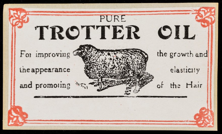 Pure trotter oil : for improving the appearance and promoting the growth and elasticity of the hair.