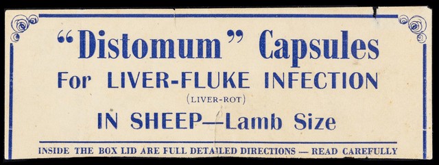 digitised image 1