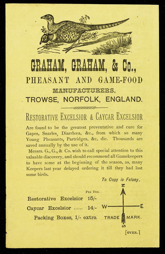 digitised image 1