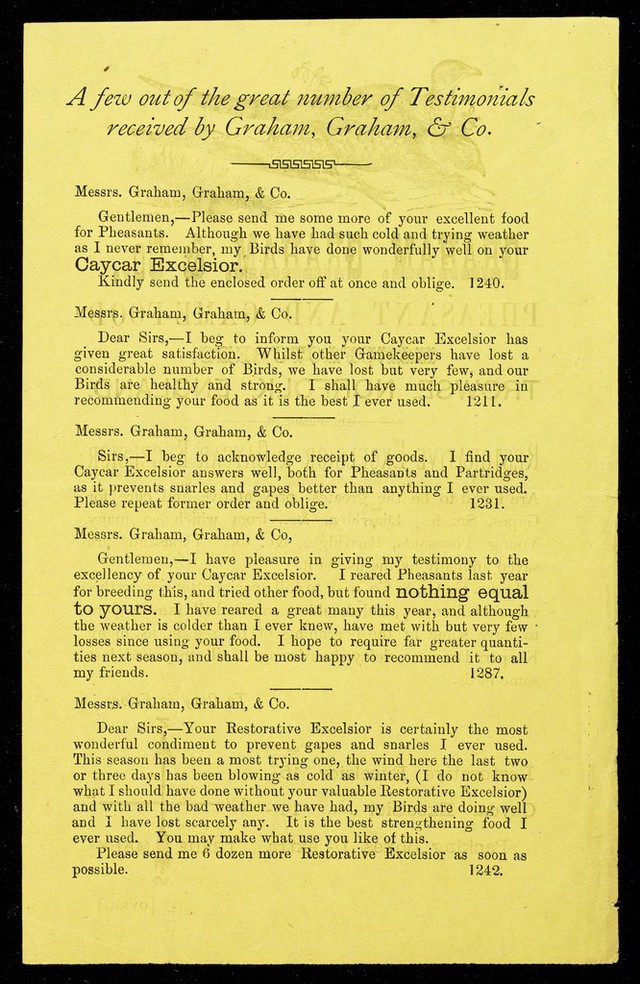 digitised image 2