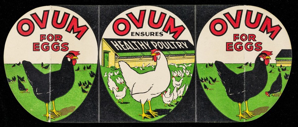 Ovum for eggs : Ovum ensures healthy poultry / [J. Thorley Ltd.]