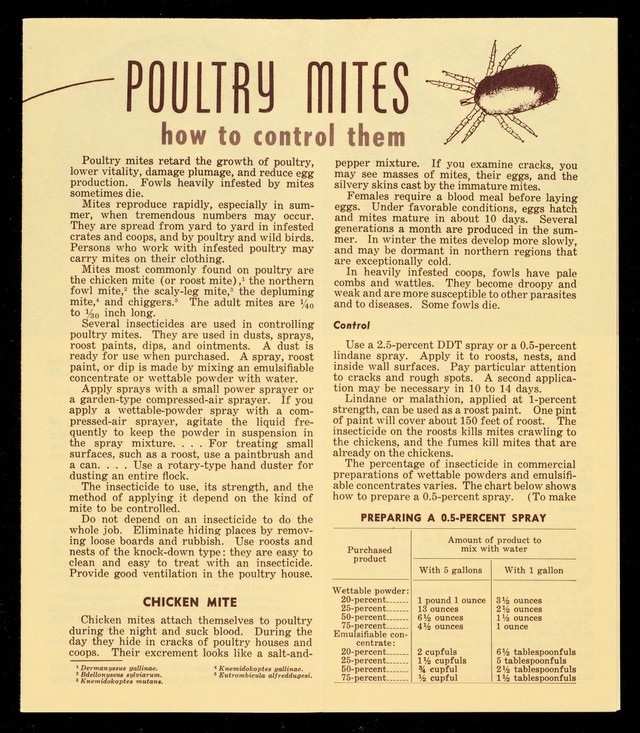 digitised image 2