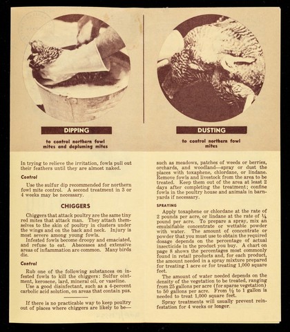 Poultry mites : how to control them / [prepared by the Entomology Research Branch, Agricultural Research Service]