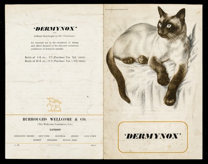 'Dermynox' / Burroughs Wellcome & Co. (The Wellcome Foundation Ltd.)