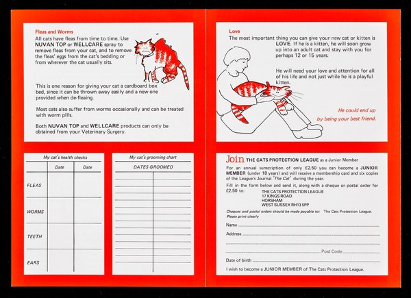 Junior cat care manual / Cats Protection League.