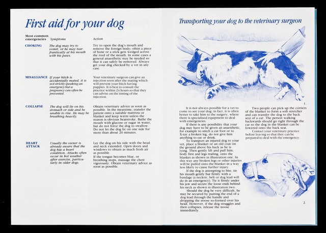 First aid for your dog and cat / Pedigree Petfoods.